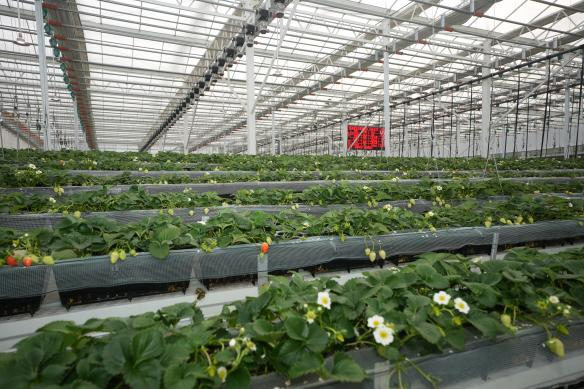 和记游戏官网-不凡成就非凡,相信品牌力量
